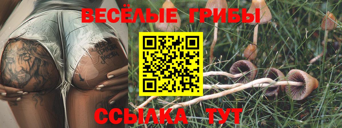 Тимашёвск  Вход с VPN  Cocaine  ГАШ  ГАШИШ  Меф МЯУ МЯУ   Каннабис 
