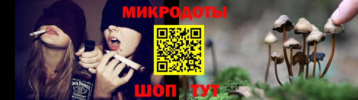 Галлюциногенные грибы Psilocybine cubensis Тимашёвск