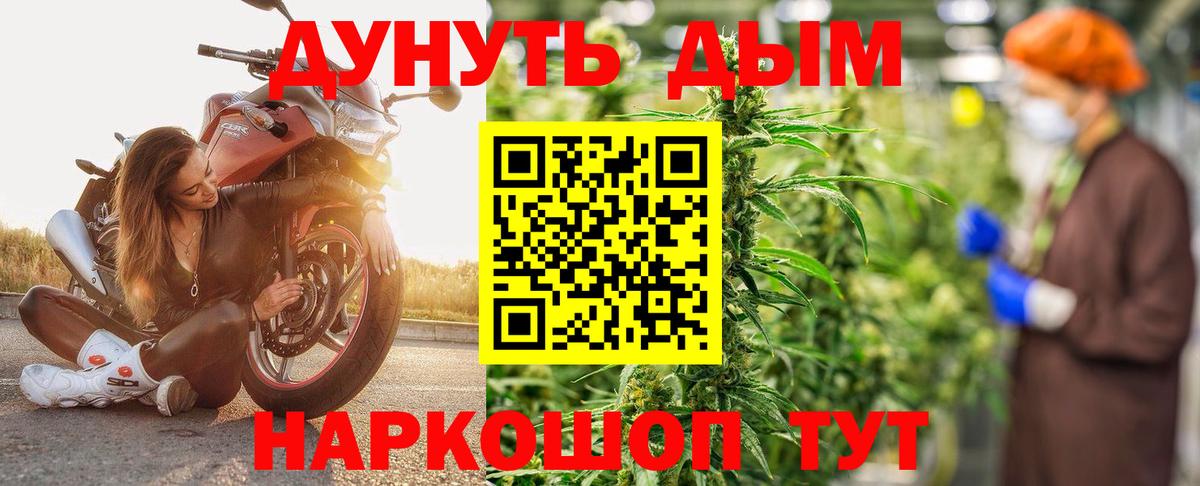 Канабис конопля Тимашёвск